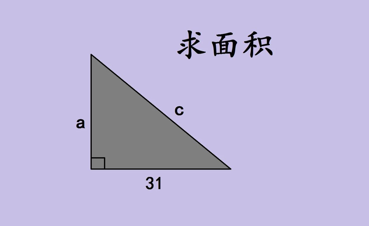 来看这道中考数学几何题，全班错了一大片，已知一个直角三角形，一条直角边是31，
