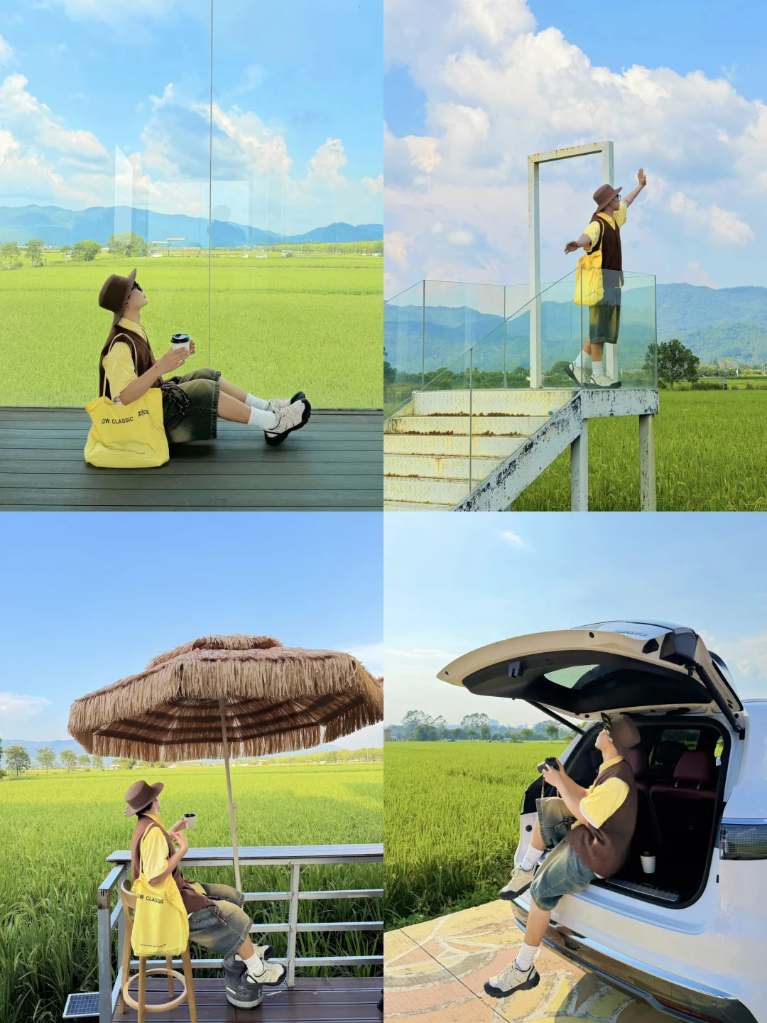 不是在大理！广州自驾1h！秋日稻田好出片！🌾