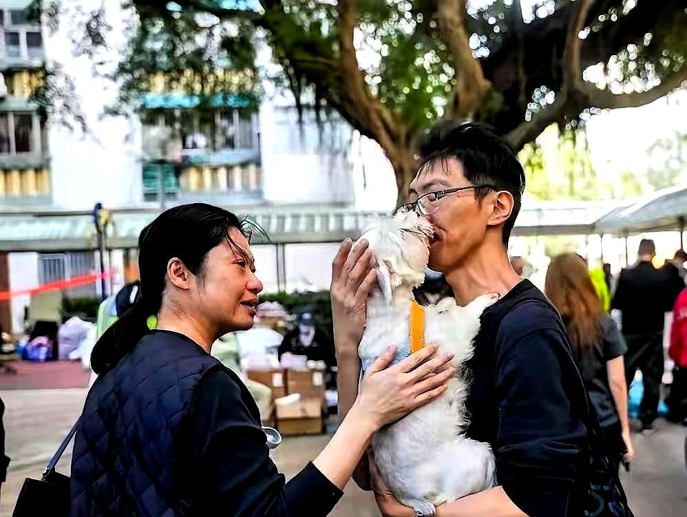 看哭了，把毛孩子吓坏了！香港宏福苑的大火里，这只白色的狗狗死里逃生，但不幸和主