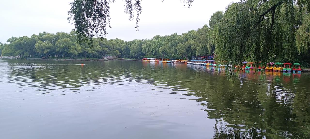 今天我被惊吓了两次。第一次：上周四我去矿总院体检，结果还未出来。今早突然接到一