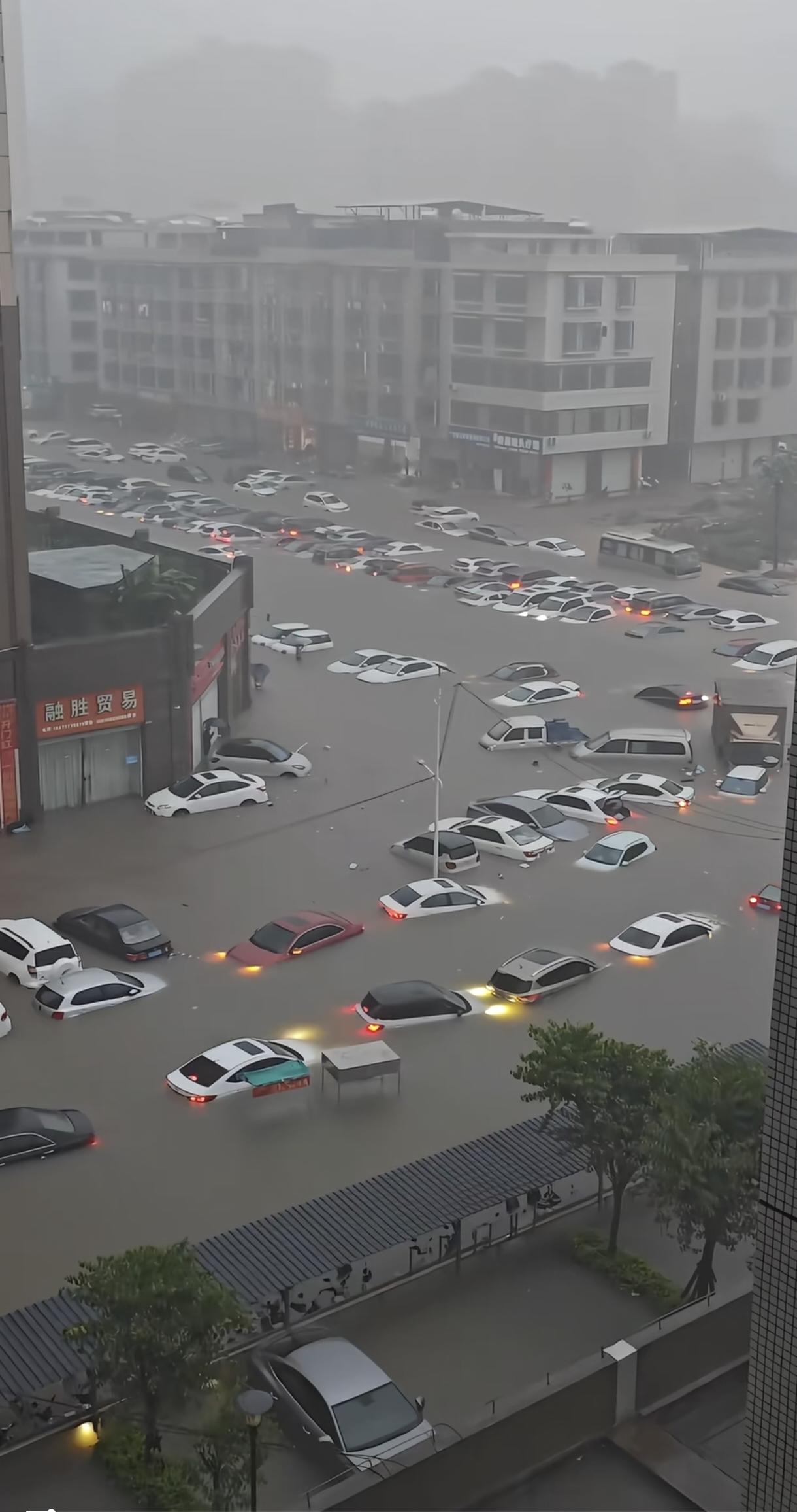 广西这么大雨啊，这保险得赔死了，赔归赔賺钱也在賺。极氪车主肯定羡慕不已[吐舌