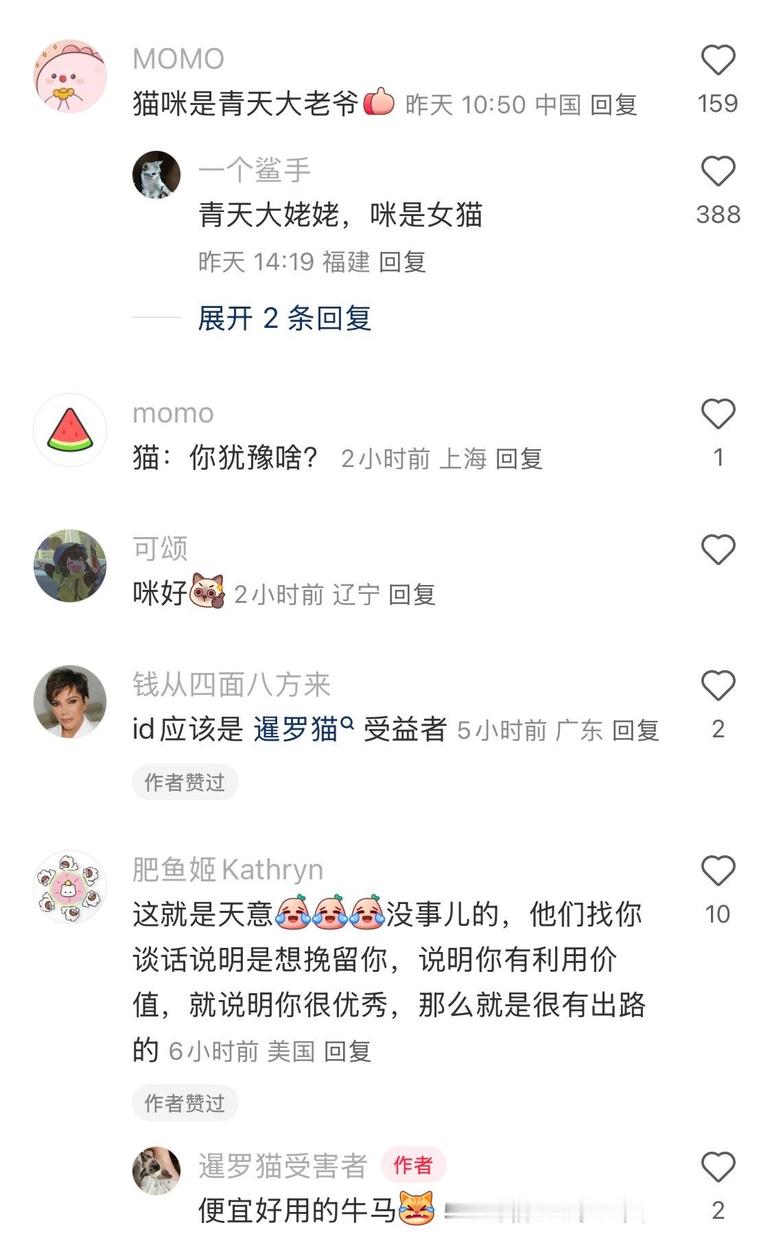 随橙想小猫帮我提交了离职