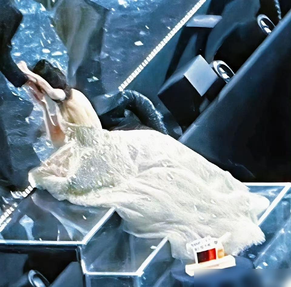 品牌方现在睡不着了。他们花20万借出的高定裙，被孟子义一跪跪出了破亿流量。当