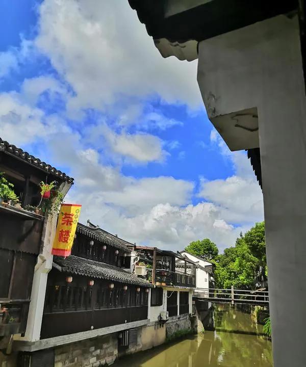 曹魏八虎骑里的夏侯惇，虽居高位但军事天赋一般，勤奋也没让他军事能力有啥起色。曹仁