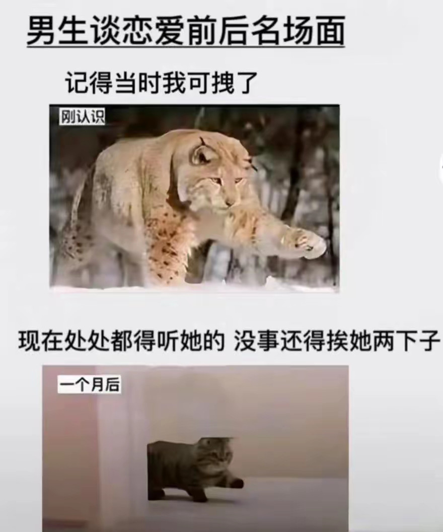 男生谈恋爱前后名场面