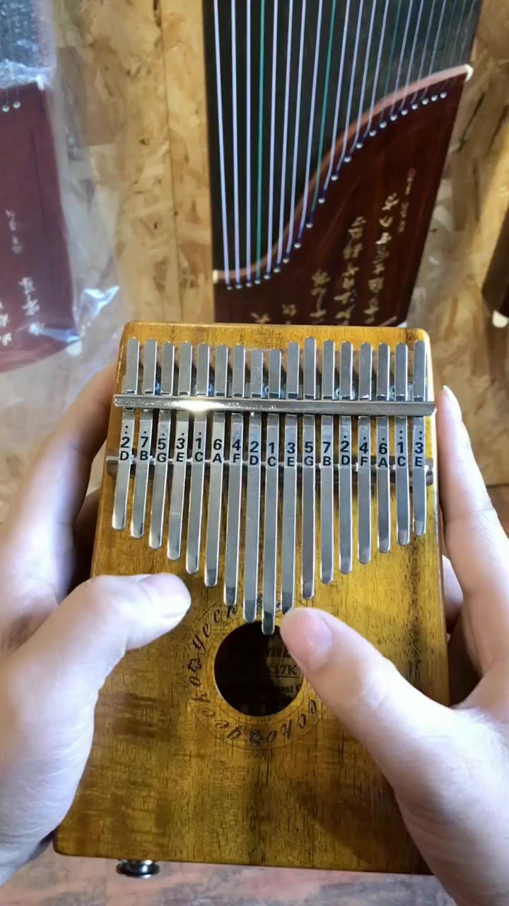 20091104092八角 伴奏(爱我别走)_土豆视频