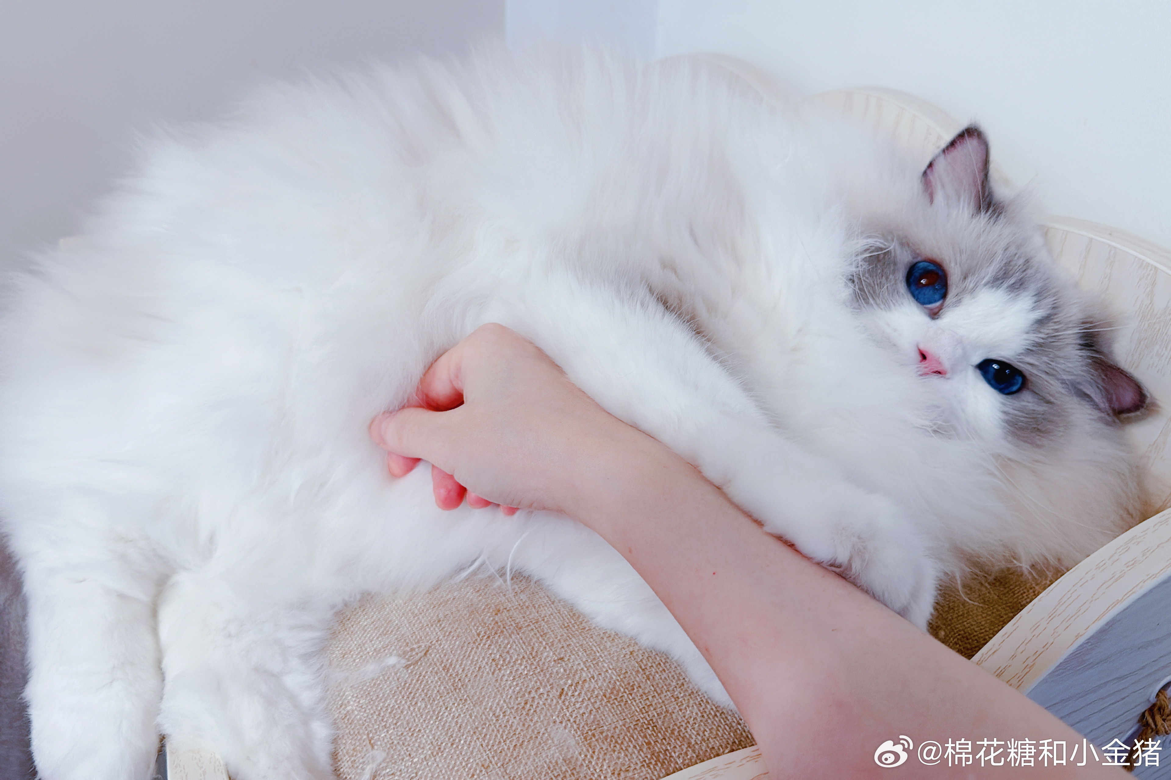 怎么还是这么奶啊