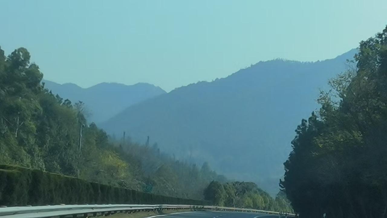 我的摄影日记车拍路景，好不美丽！