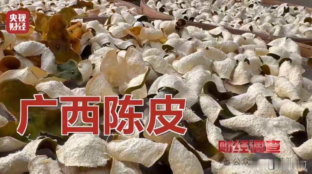 央视怒揭黑幕！广西廉价果皮贴标变“千年陈皮”，暴利20倍产业链竟成公开秘密，你的