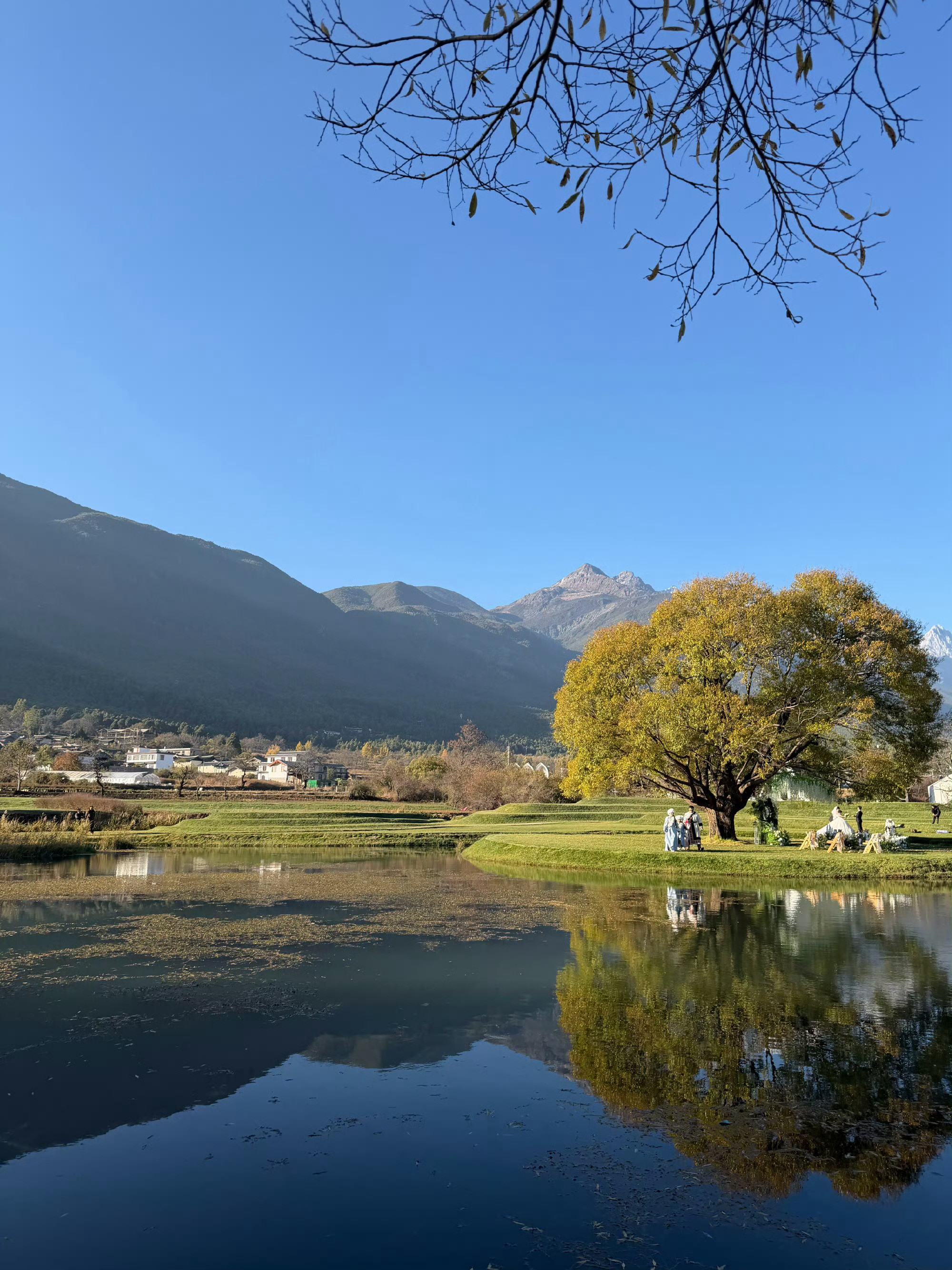 《什么才是真正的岁月静好？》半山丽江束河·觉行小院2026年春岁月静好，这个词被