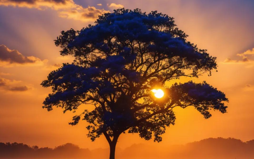 大盘已经九连阳了，看到不少人在问是否需要先出来？后面会不会下跌？问这些问题的人通