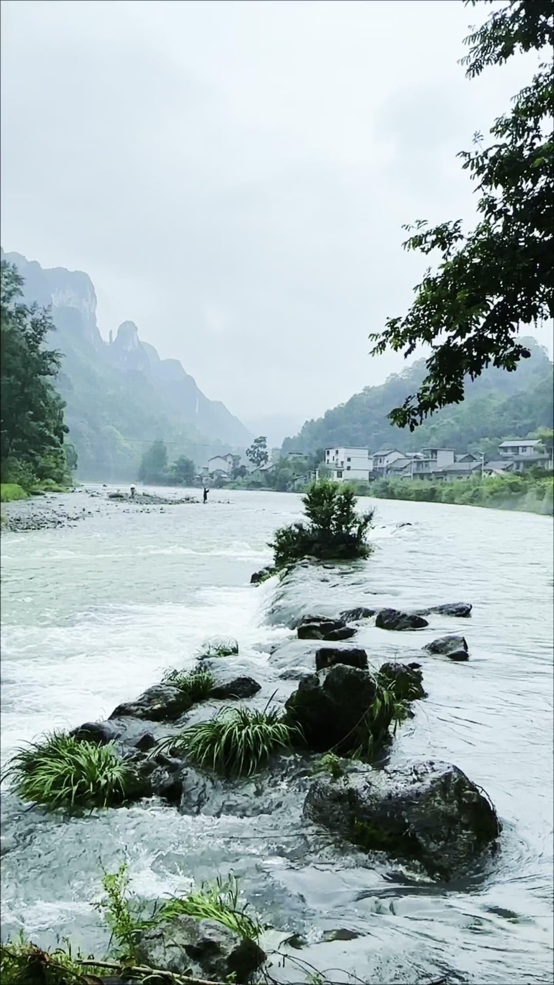🌿沿着山野溪流慢慢走，岸边草木葱郁，脚下溪水清透见底，风裹着水汽扑在脸上的瞬间
