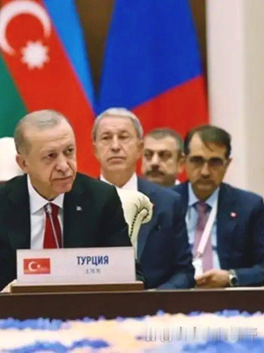 特朗普搅局遭背刺！土耳其喊出“奥斯曼复兴”，要抢美国霸权蛋糕？2026开年