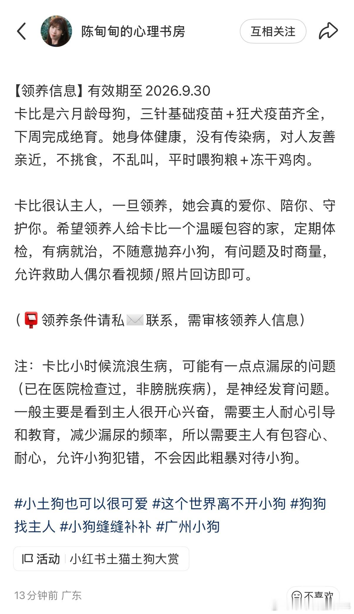 帮朋友发个领养：卡比是广州番禺的小狗，被人遗弃在朋友家楼下，朋友带她治好了病，找