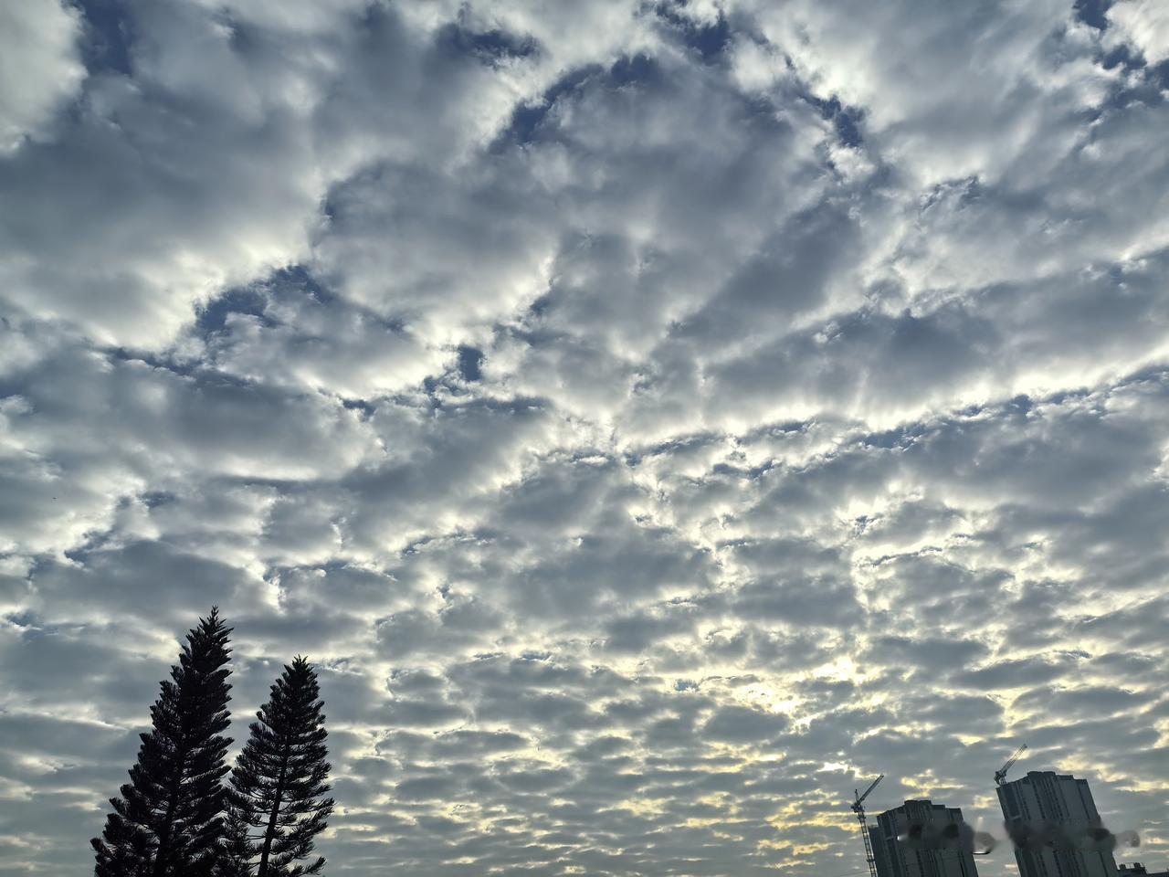 广东刚暖和就有弱冷空气来拆台！今天（27日），粤东、粤北、珠江三角洲南部市县