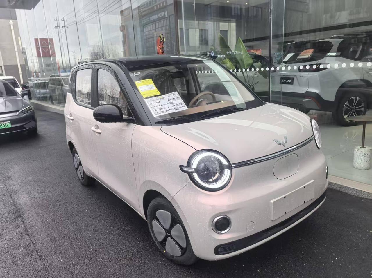 不夸张地说，在A0级小车这个圈子，五菱宏光MINIEV一直是妥妥的“人气王”。不