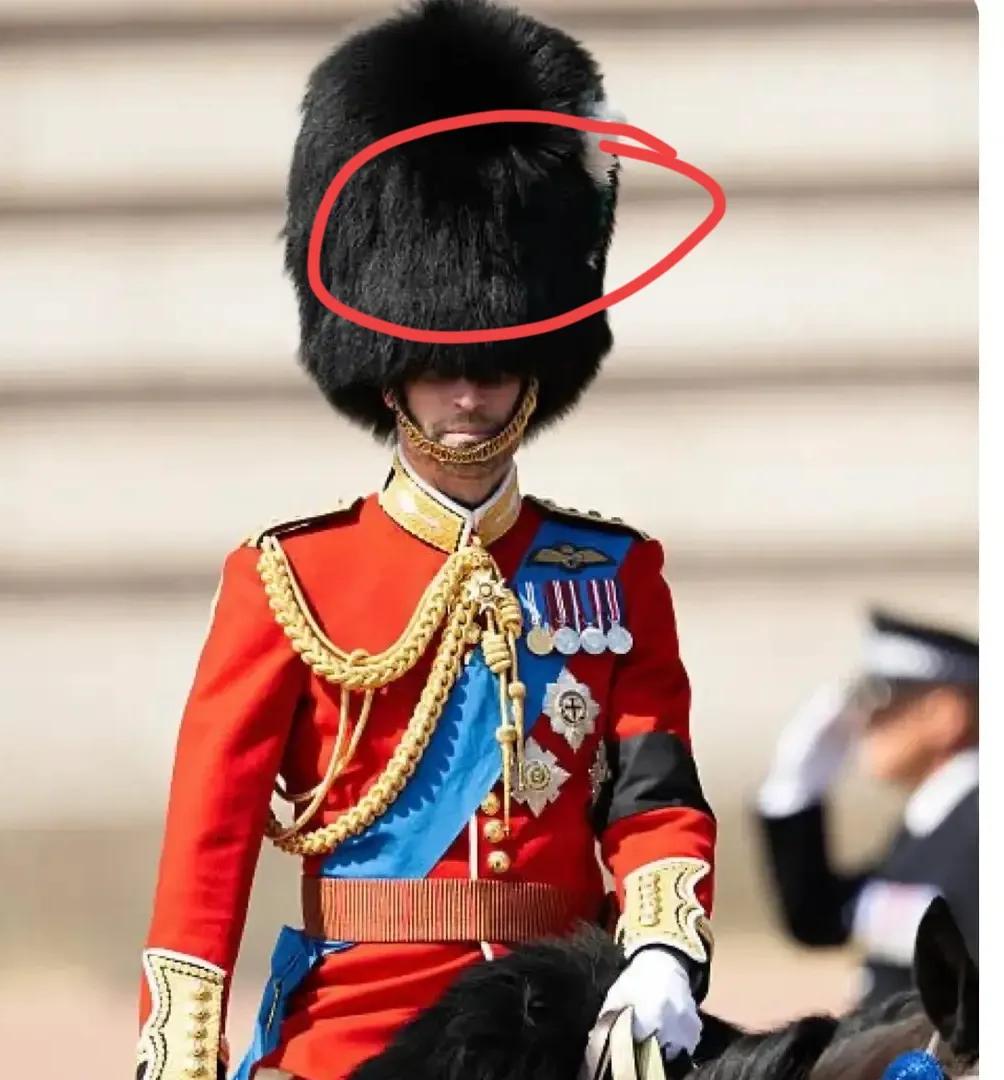 威廉戴这个帽子，难道不热吗？英王室很神奇，每一次重要的活动，王室男士都会穿上军