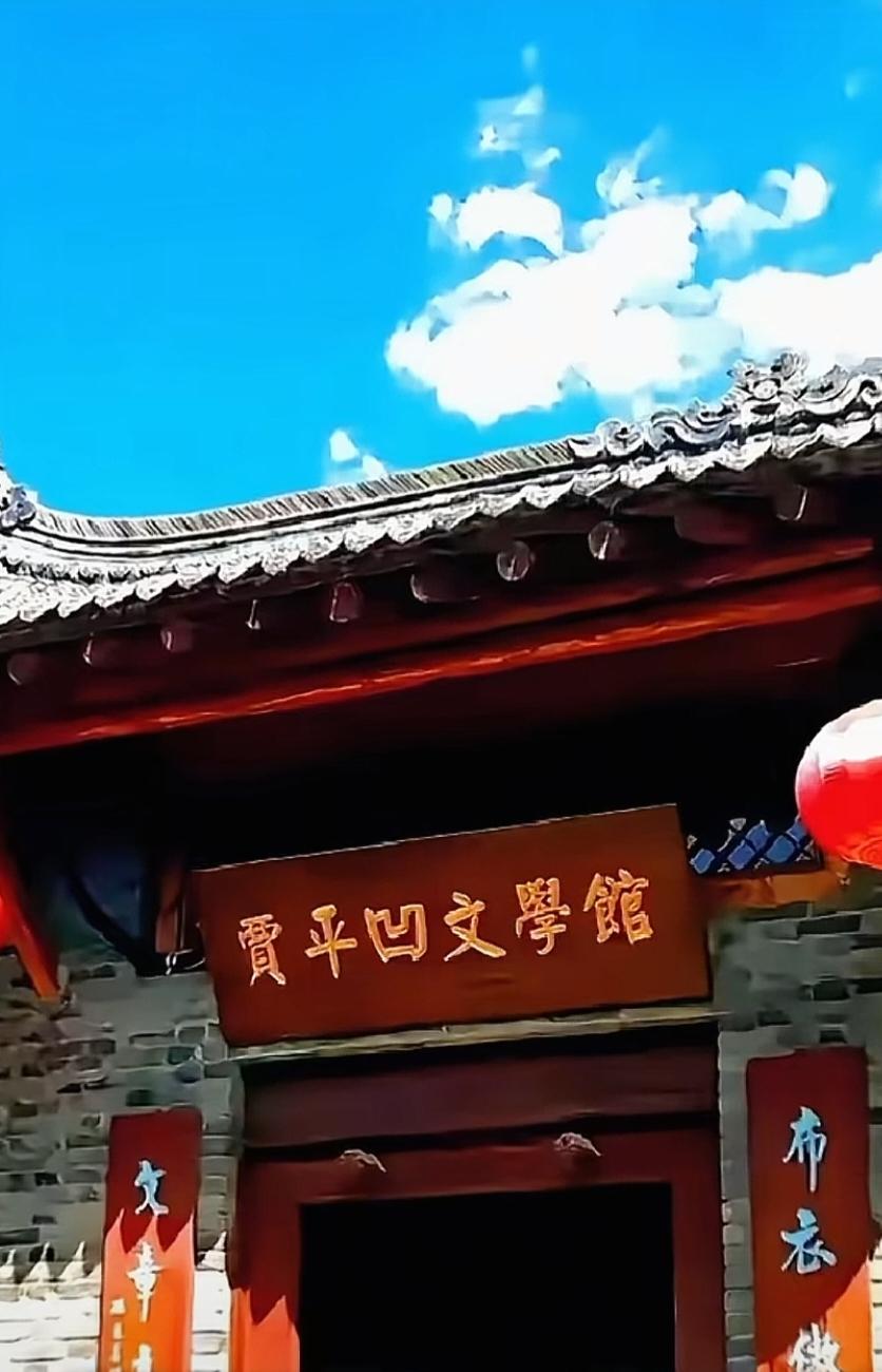 我非常不理解贾平凹的行为，为什么全国有那么多贾平凹文学馆？他的文学很了不起吗？
