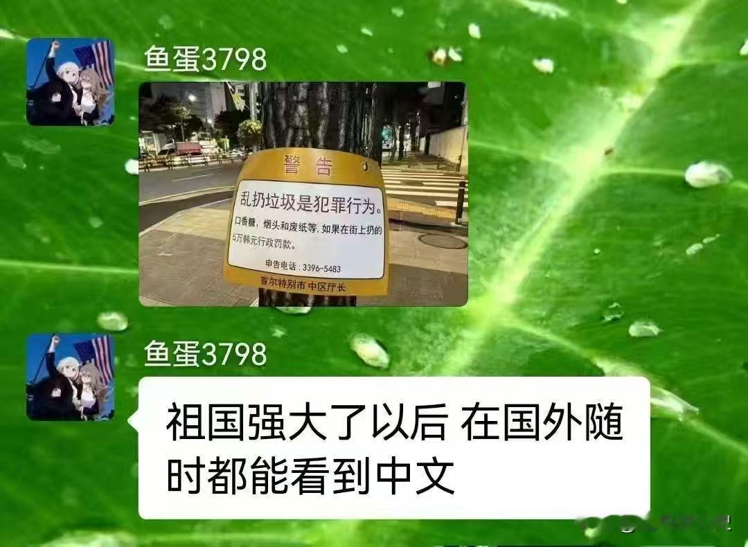 国家强大了以后，在国外随时都能看到中文……