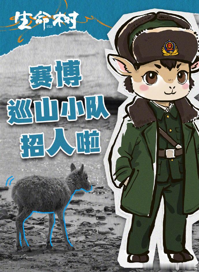 杨紫招聘巡山搭子杨紫招募巡山搭子杨紫演《生命树》里的巡山女警白菊，这个角色还出来