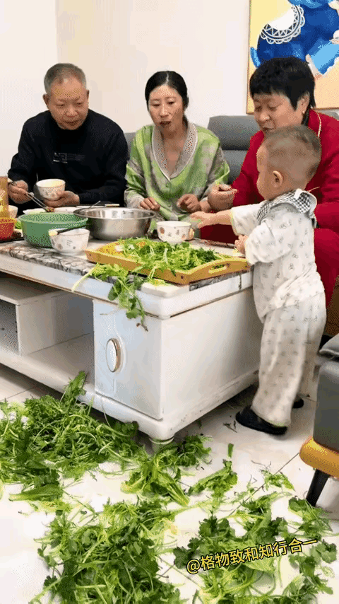 一家子人培养这个孩子，这个孩子长大之后，肯定会成为一个非常了不起的人物，概括起来