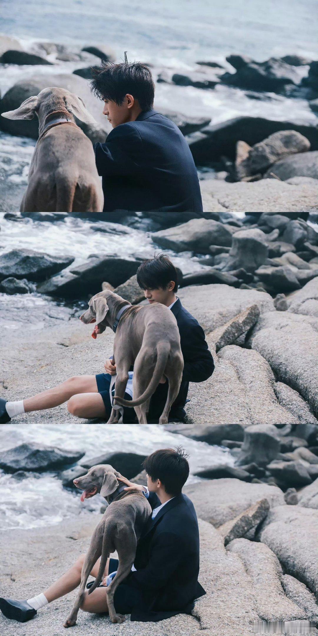 易烊千玺与狗狗海边狂欢他与他的少年心气