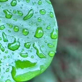 每日一善阳光信用最好的生活状态不过就是：一个人，安静而丰盛；两个人，温暖而踏实