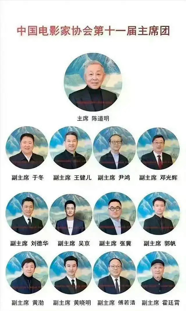 中国电影家协会主席团成员，下一届张译应该就进领导班子郭帆只有《流浪地球》这个代表