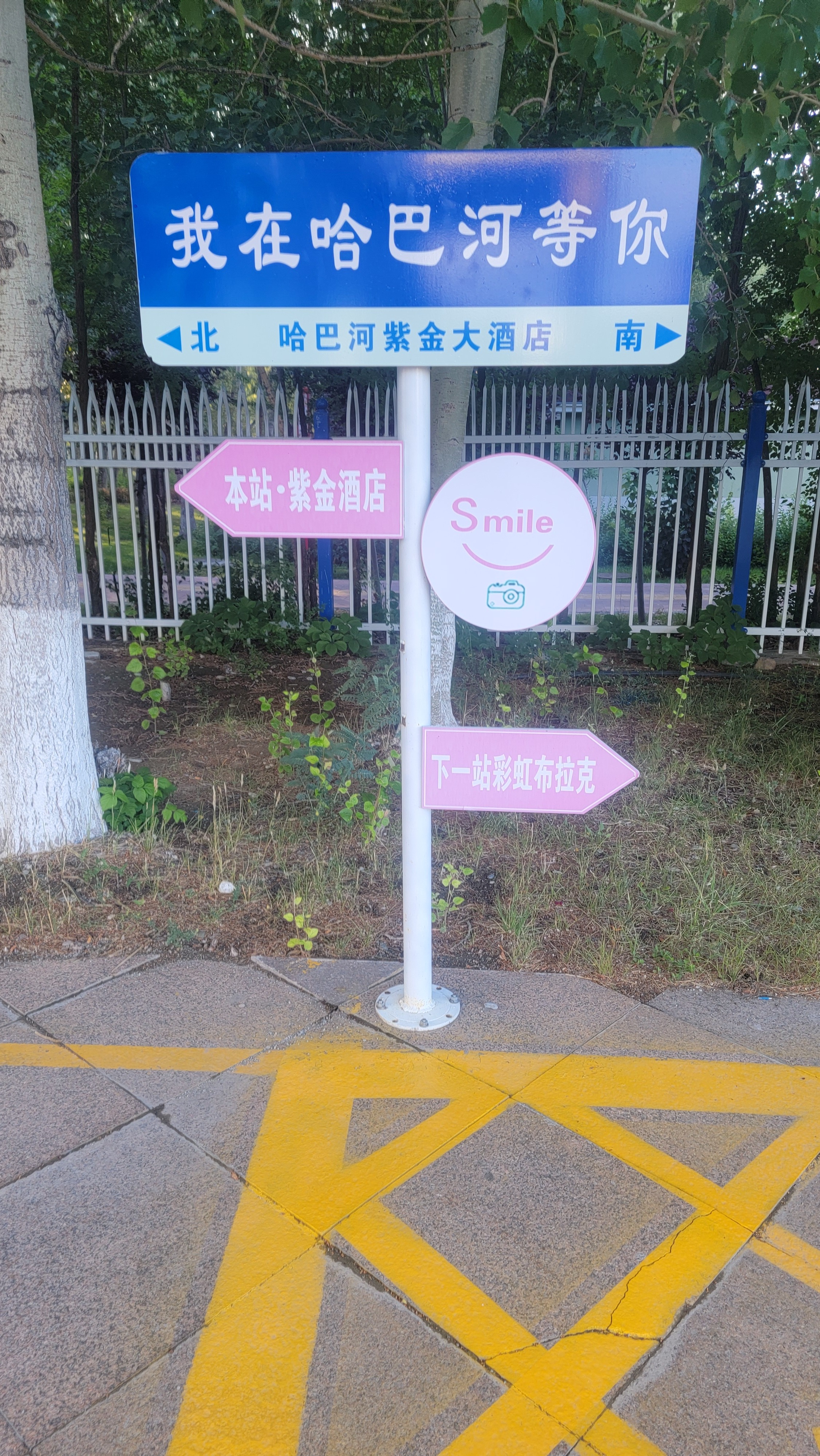 名医朱春良“益智醒脑方”：补肾养髓、化痰祛瘀、通窍醒脑！在中医理论中，脑为“髓海