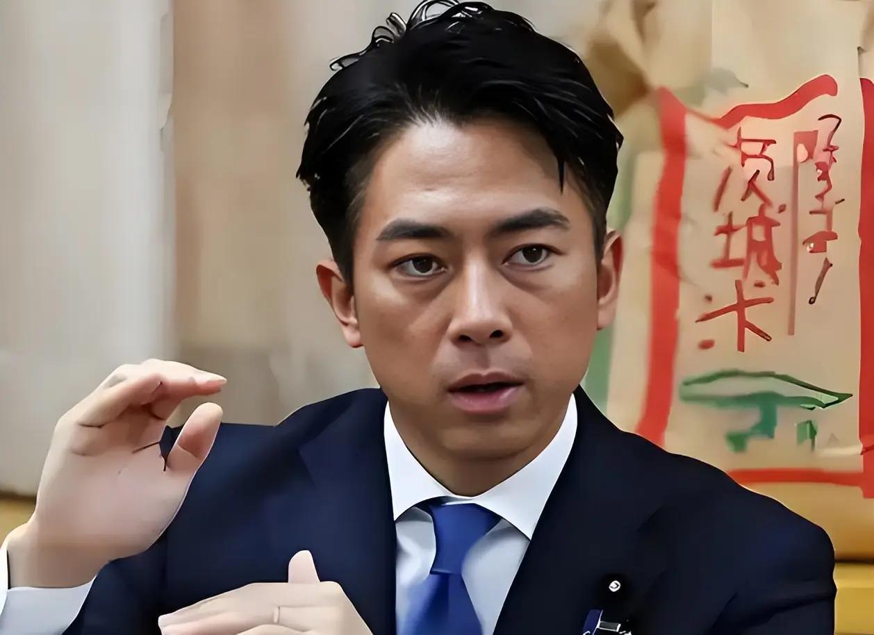 香格里拉对话会出现尴尬一幕！被问及涉台议题，日方防卫大臣避答后匆匆离场。20