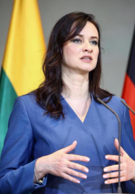 就在刚刚，中国外交部发布声明，2月6日，针对3日立陶宛公开承认错误，外交