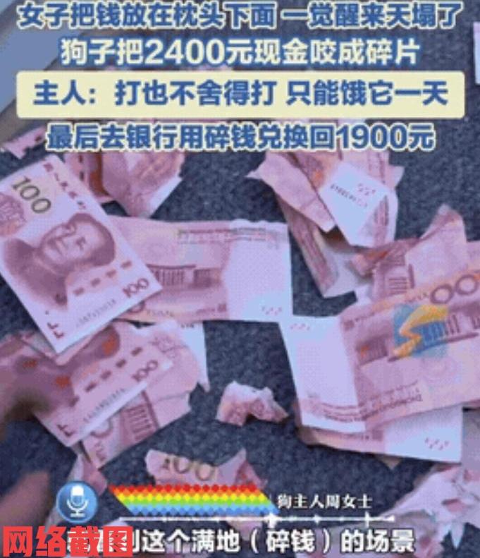 江西南昌有女子银行取钱后被狗咬碎。这让女子没有想到自己取到手的两千四百元，当