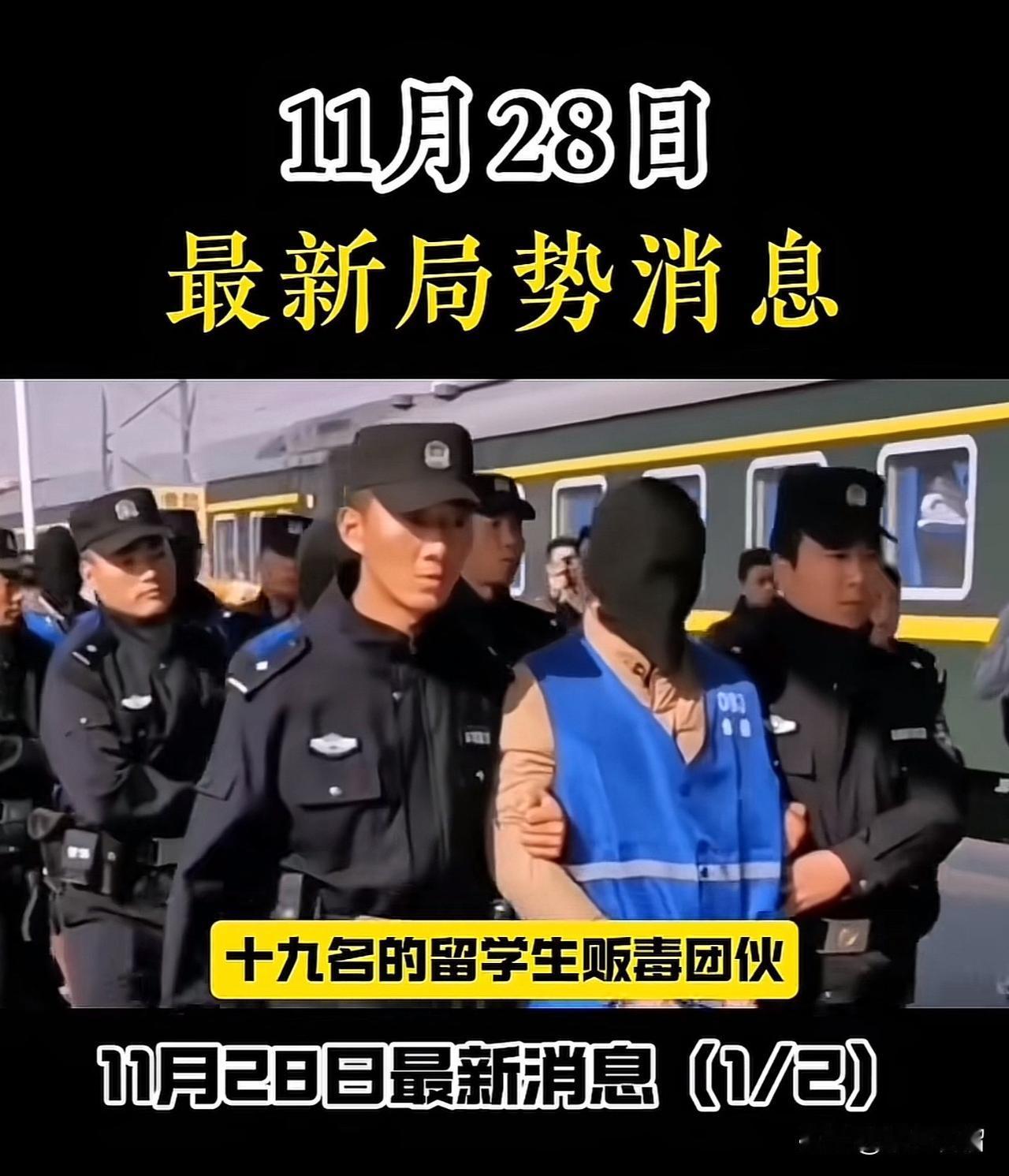 这简直是引狼入室啊！谁能想到，高校花重金引进的留学生，竟沦为了