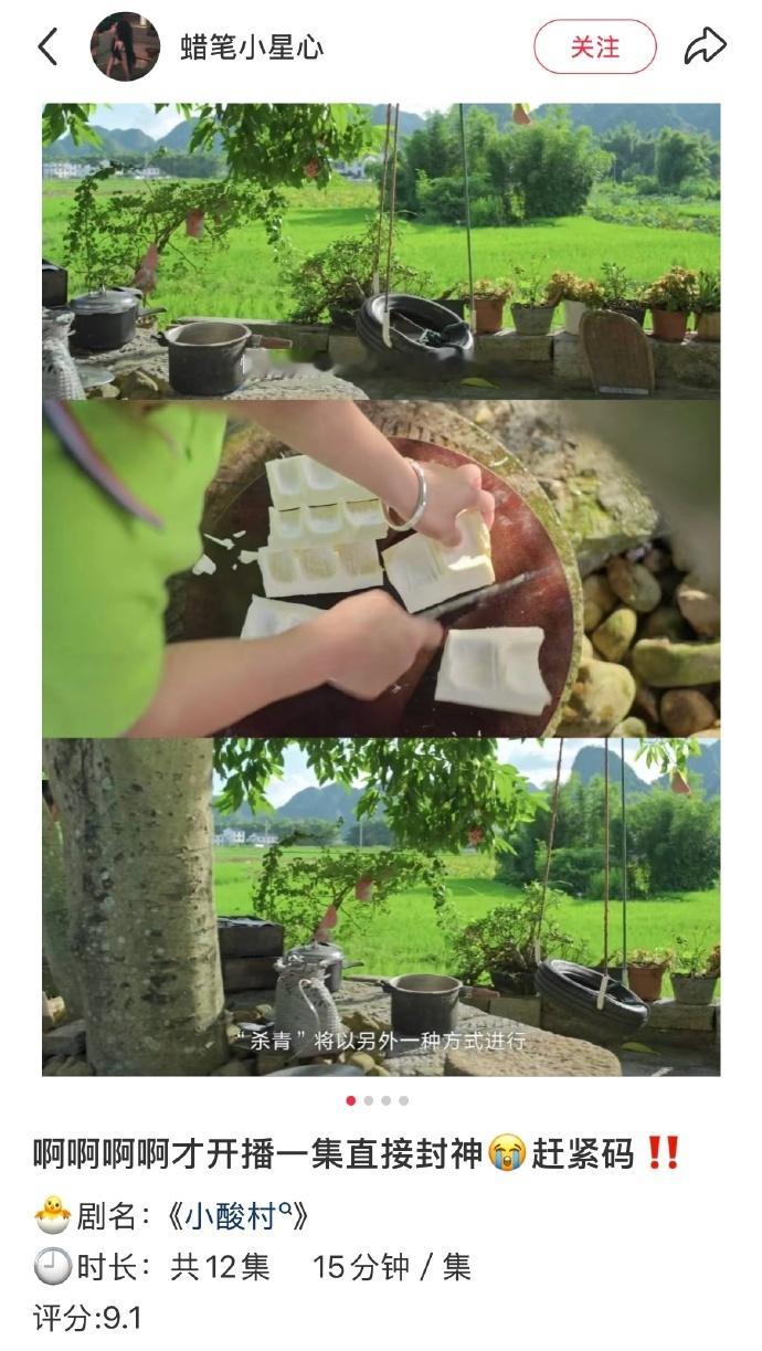 一集封神😭安利给全世界的宝藏纪录片❗