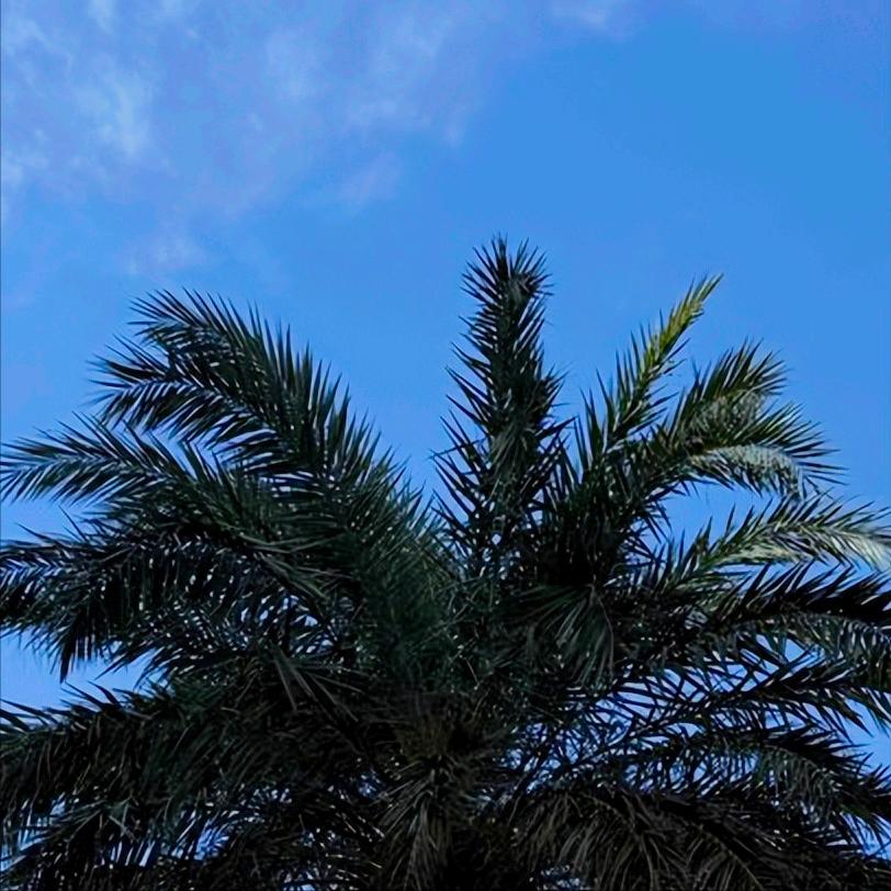 广东第一时间支援香港救灾  我国内地企业及机构对香港救灾捐助款物已超过6亿港元