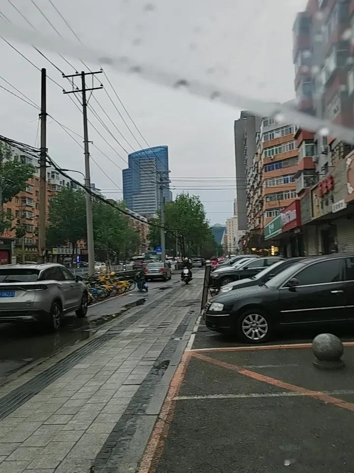真心话茶局