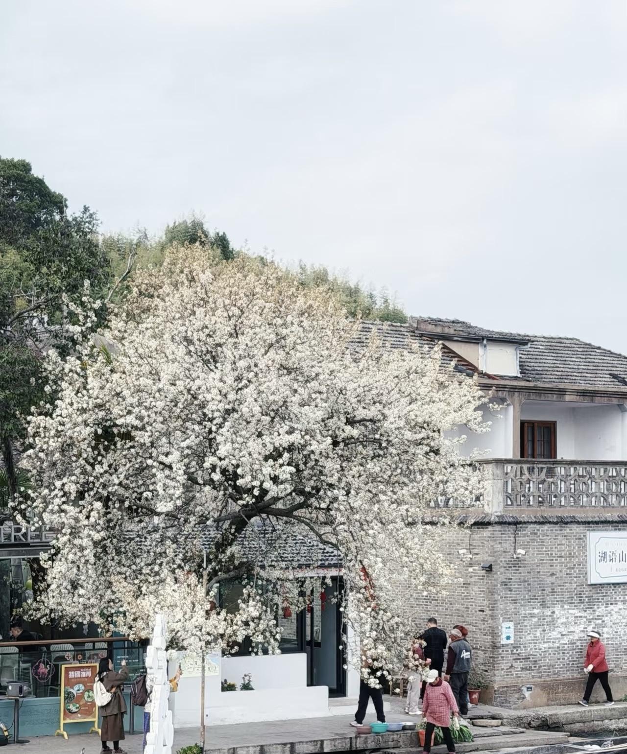 办完丧事第二天，儿孙们就把他家爷爷围在了老屋堂前。七十岁的大伯拍着桌子，六十