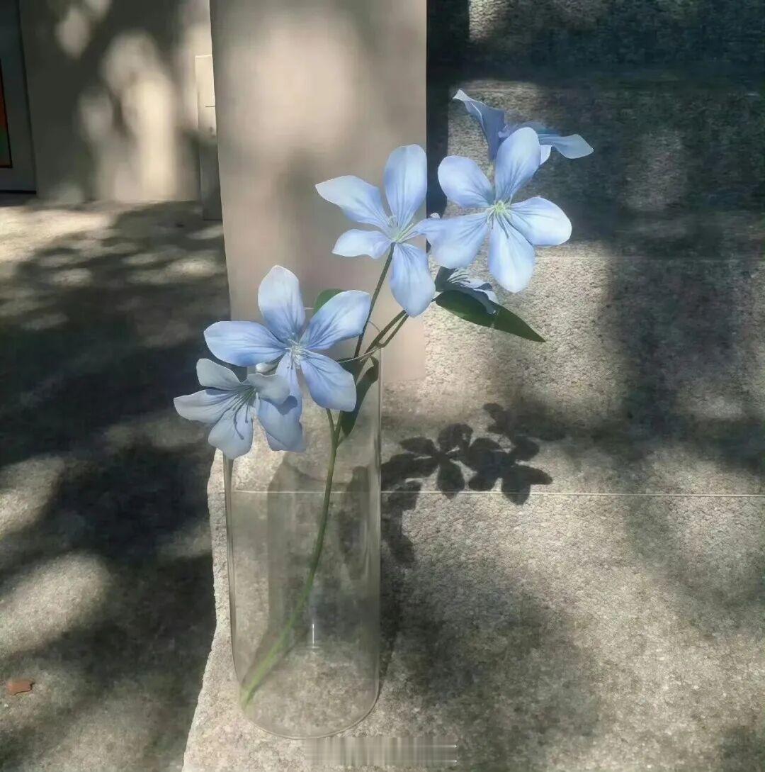 他后来见过很多玫瑰，唯独她是独一无二。——《她不哄他了》晚安
