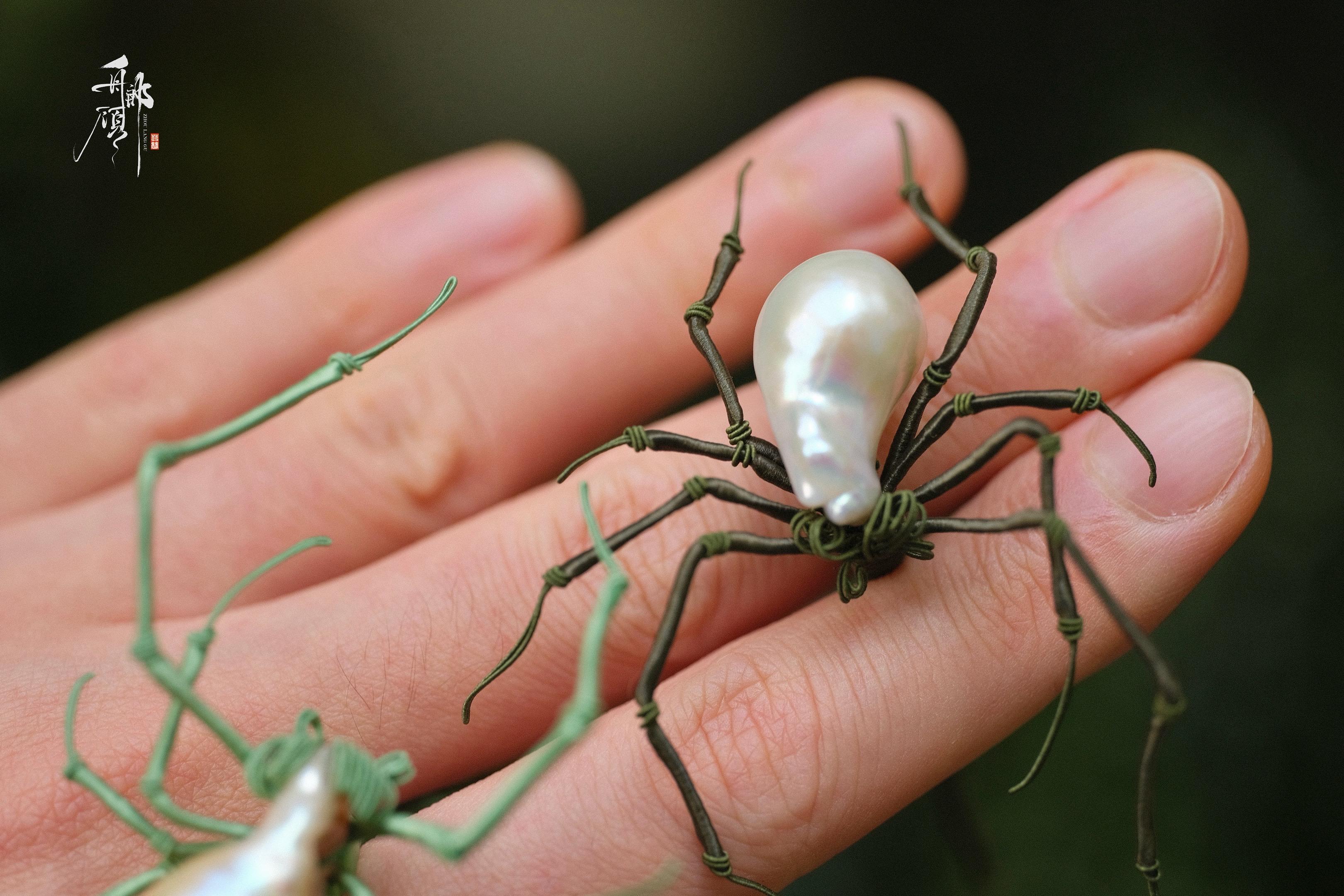 巴洛克蜘蛛 🕷️。