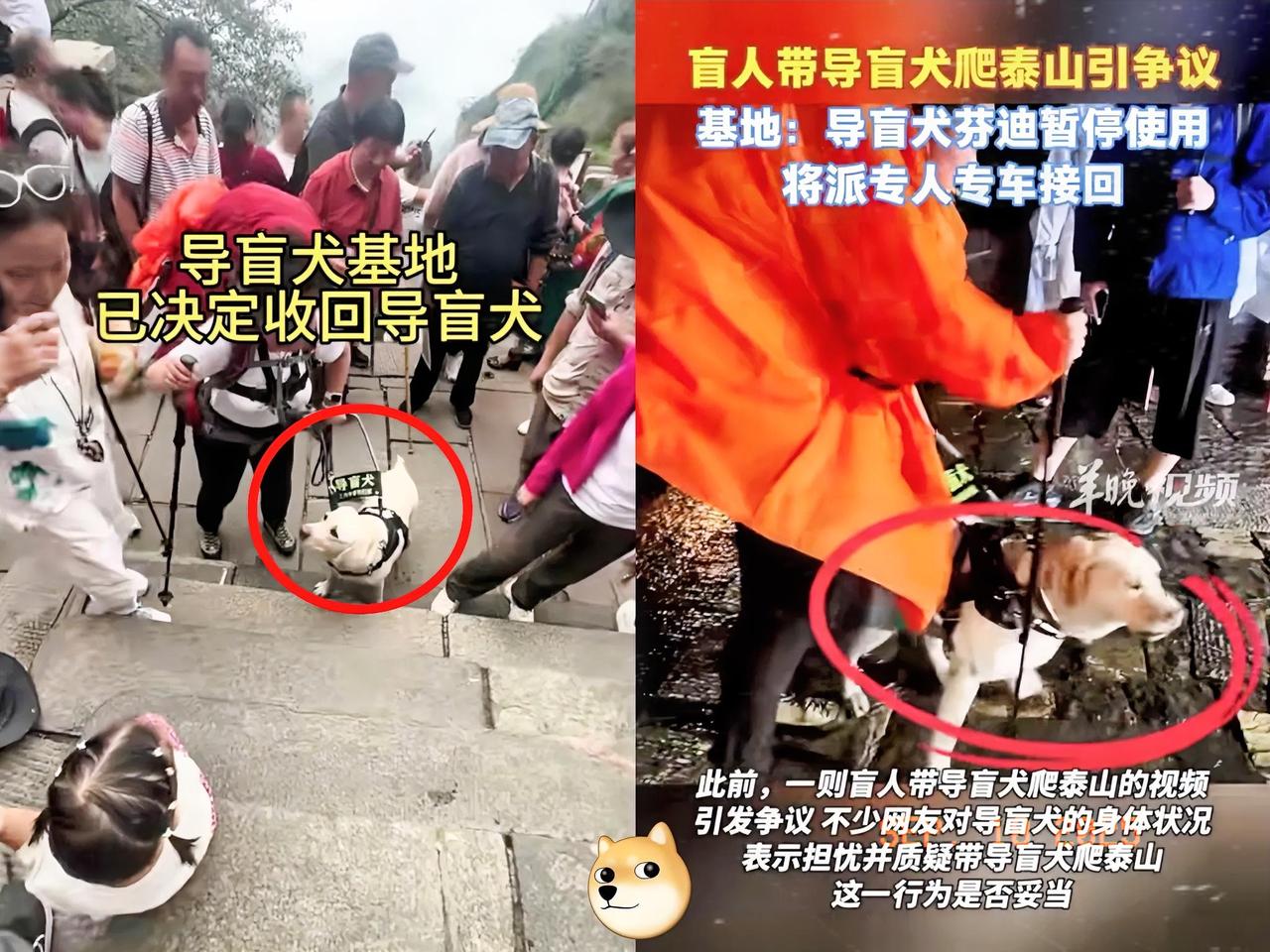 今天必须得唠唠这对在泰山“火出圈”的盲人夫妻！本以为是身残志坚勇攀泰山的感人故事
