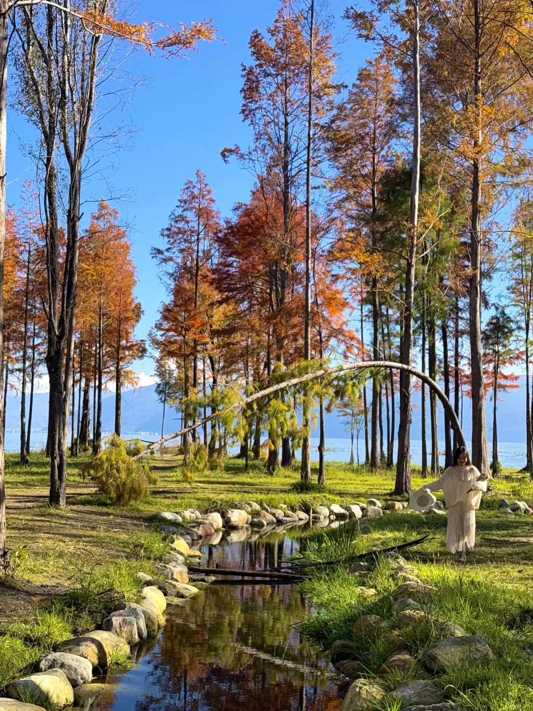 我不允许还有人不知道大理这个机位！