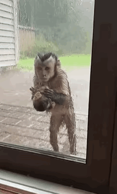 看着好可怜啊，还好这家人是个好人啊。