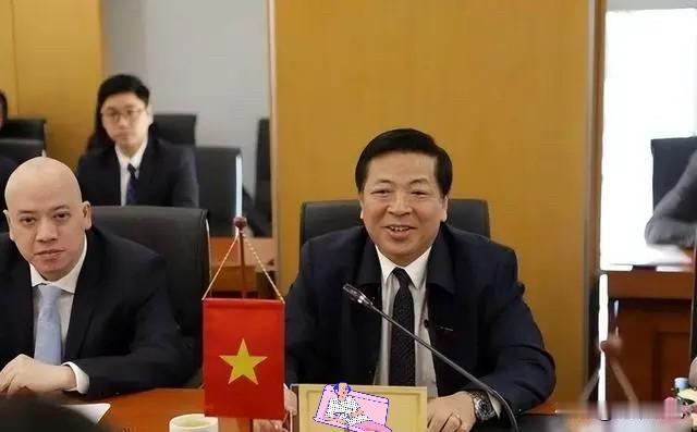 越南终于不装了，把话撂这儿，越南建设部部长陈宏明近期明确要求，越南南北高速铁路项