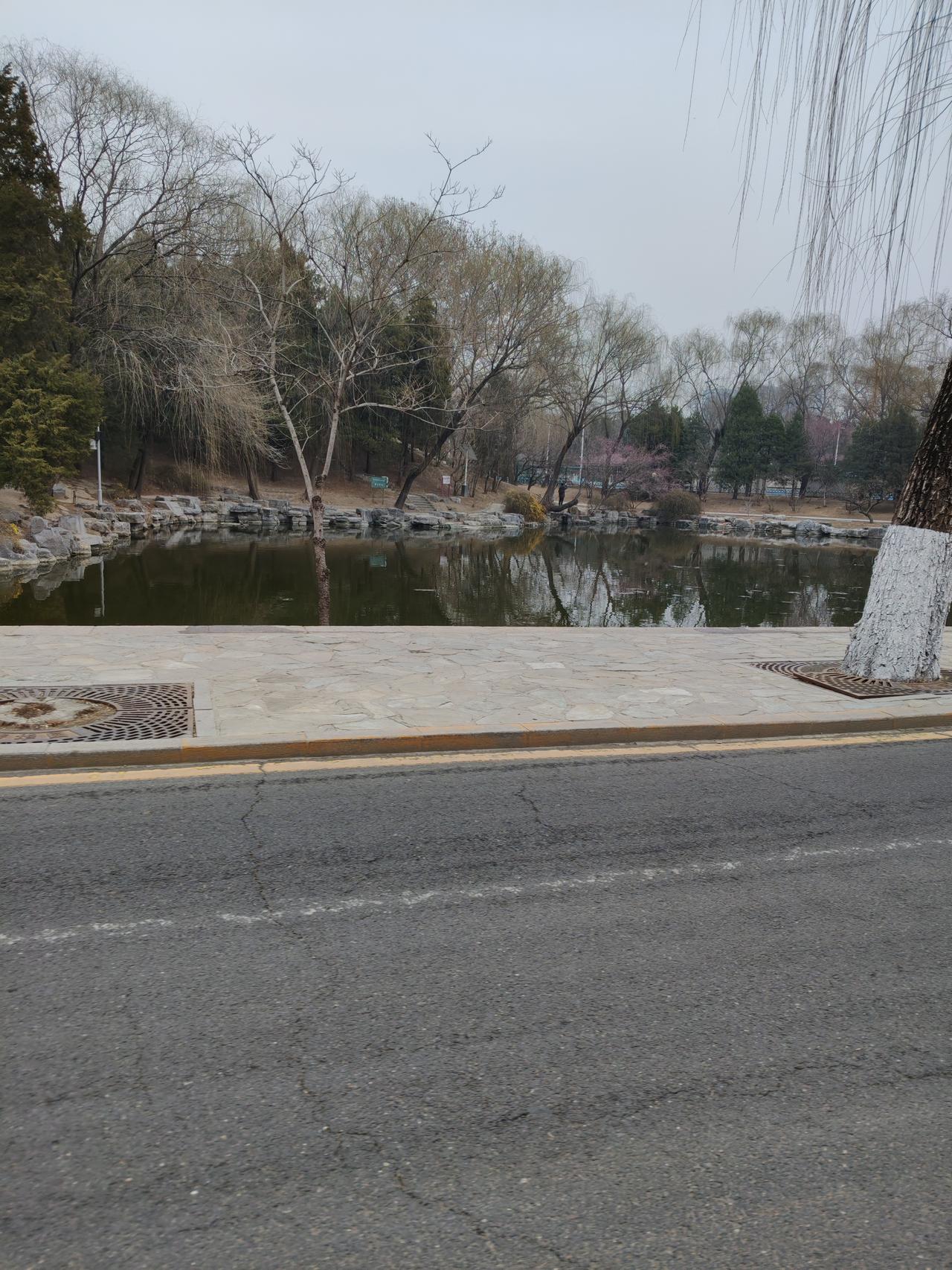 学校中常有这样子的老师，努力的方向错了！这些老师很勤恳，下班之后会去做一些兼职，