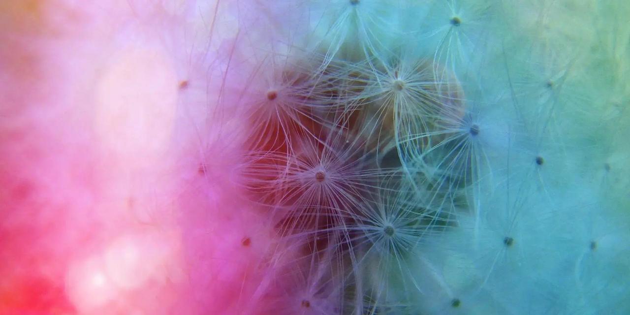 属猴的朋友们，2025年底这个月，好事儿可不少！单身的朋友桃花运突然爆棚，容易碰