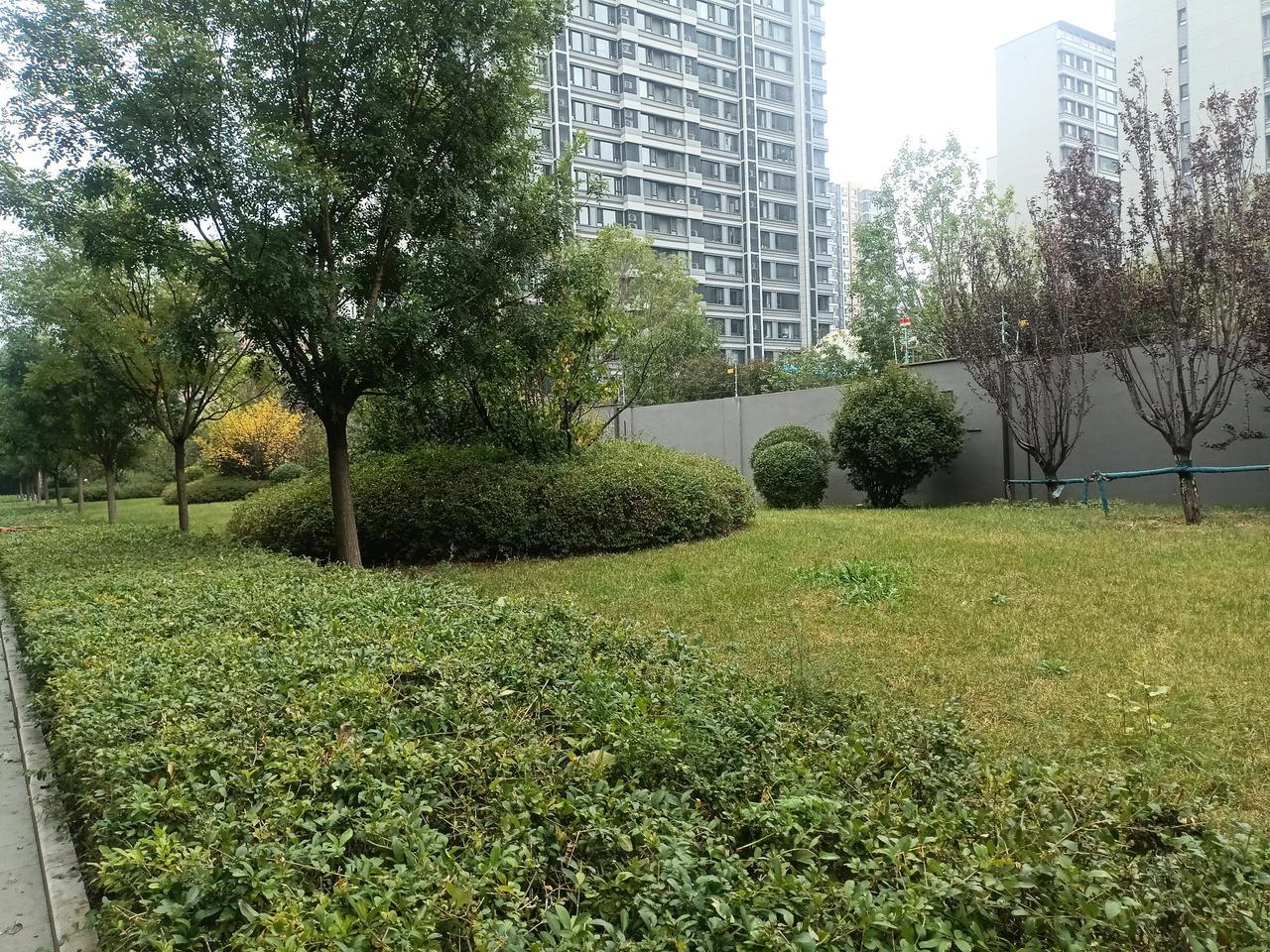 听说武大的那位诬告肖同学性骚扰的杨景媛女士到西班牙卡洛斯三世大学攻读博士了。上网