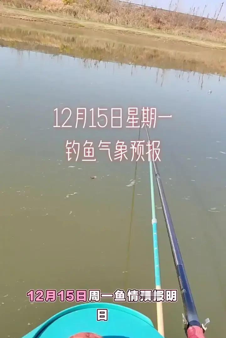 为什么同样的黄金窗口期，有人连竿爆护，你却一口没有？不是鱼不开口，是你的钩没下