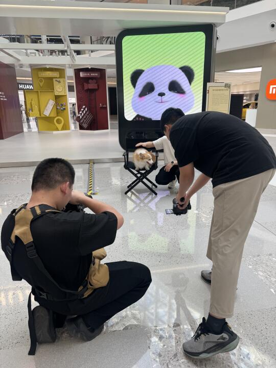 今天假期 来做一天狗模特吧