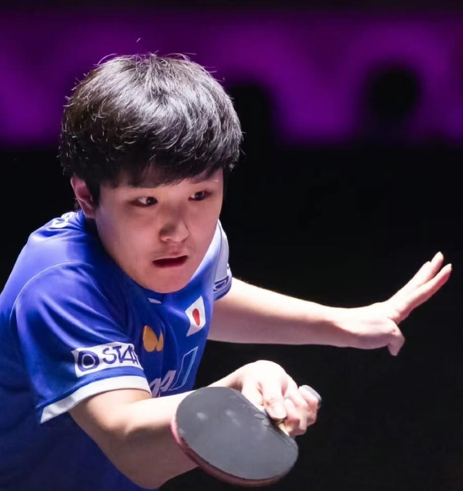 张本的冠军梦又碎了这次王楚钦没来林诗栋也输了，张本以为这次比赛，是自己离