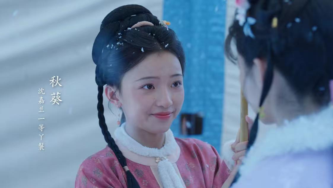 《兰香如故》大结局：许兰香坟前痛哭！沈嘉兰的一等大丫鬟秋葵竟然被林锦岐买下来，一